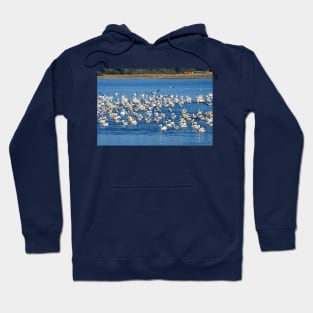 Beaks To The West Hoodie